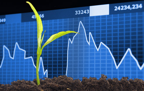 En plante vokser op ad jorden foran en kurve.