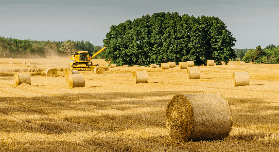 Billede af landbrug