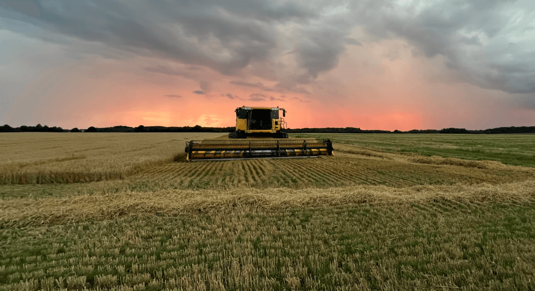 Mejetærsker på mark med vårbyg i Haderslev, Danmark.