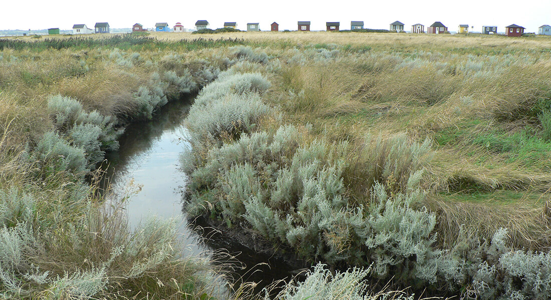 Ærø summerhouses