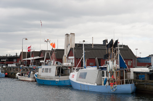 Der indsamles data for fiskeindustrien til at belyse den økonomiske situation i sektoren